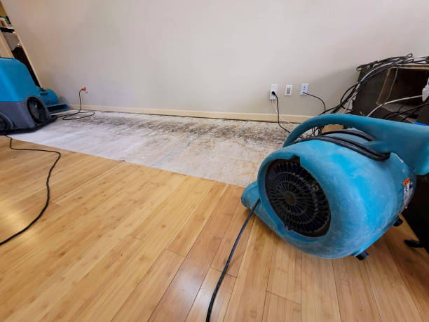 Professional Structural Drying technician working in Pelican Lake, WI
